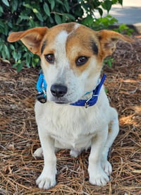 EDDIE - Photo 1