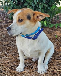 EDDIE - Photo 2