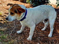 EDDIE - Photo 3
