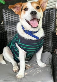 EDDIE - Photo 2