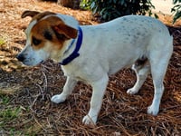 EDDIE - Photo 4