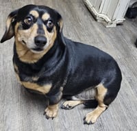 SNICKERS - Photo 2