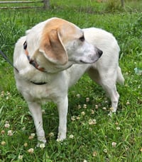 BESSIE - Photo 3