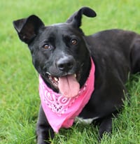 Maylee - Photo 4