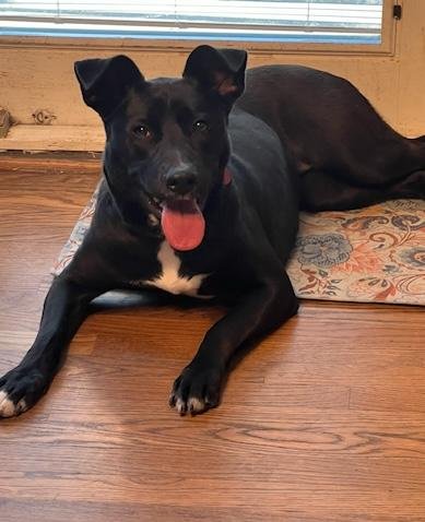 Maylee - Photo 3