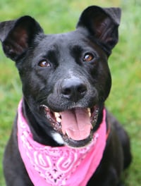Maylee - Photo 1