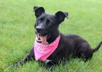 Maylee - Photo 2