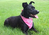 Maylee - Photo 3
