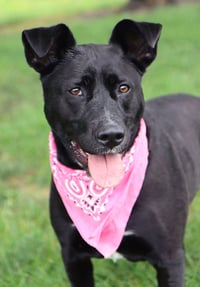 Maylee - Photo 6