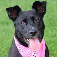 Maylee - Photo 5