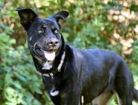 Artemis - Photo 4