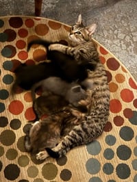 Momma C - Photo 3