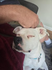 Mabel - Photo 3