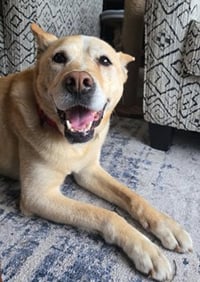 Laila - Photo 2
