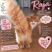 Raja** CL - Photo 2