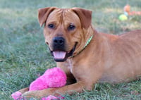 Atticus - Photo 3