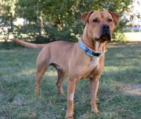 Atticus - Photo 6