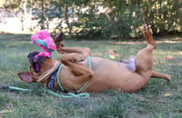 Atticus - Photo 5