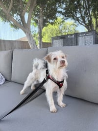 Freddie - Photo 2