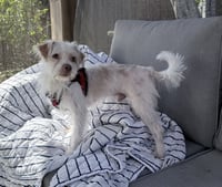 Freddie - Photo 3