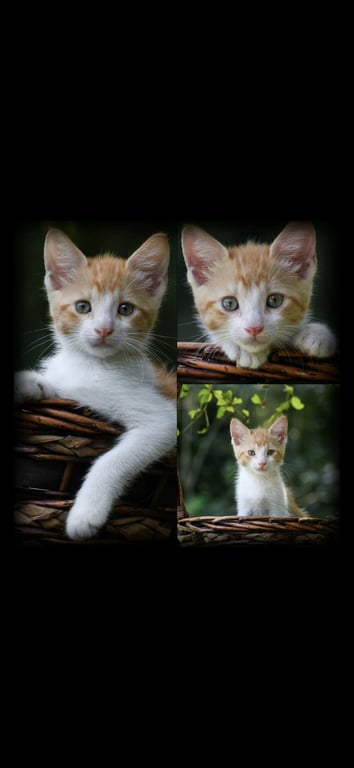 Leomar&Leonel Image