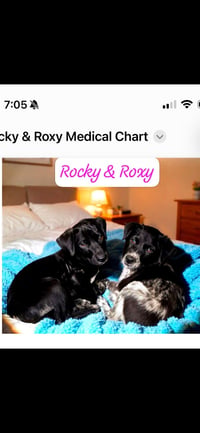 Rocky - Photo 4