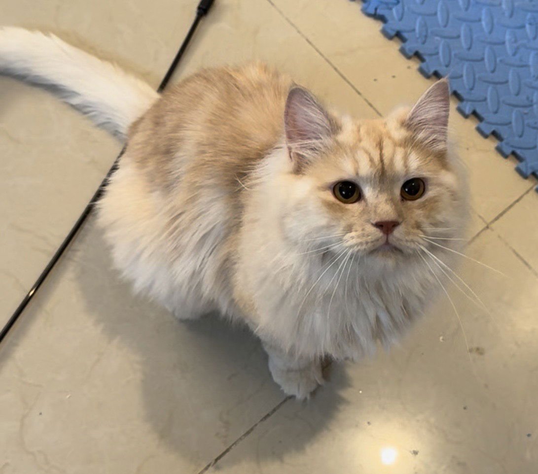 Flower&Shadow - Photo 2