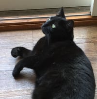 Little One - Photo 3