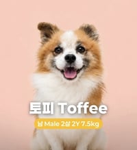 TOFFEE - Photo 3