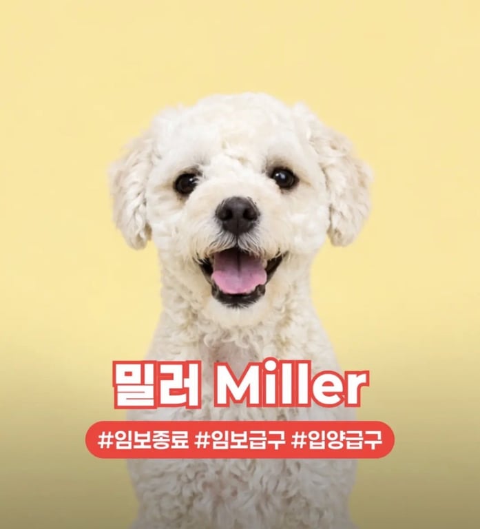 MILLER Image