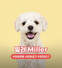 MILLER - Photo 1
