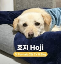 HOJI - Photo 2
