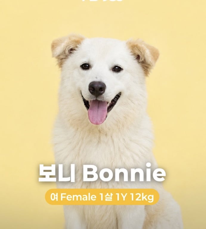 BONNIE Image