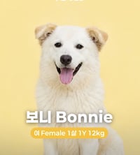 BONNIE - Photo 1