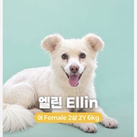 ELLIN - Photo 1