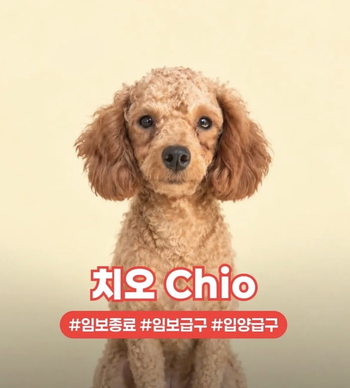 CHIO Image