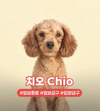 CHIO - Photo 1