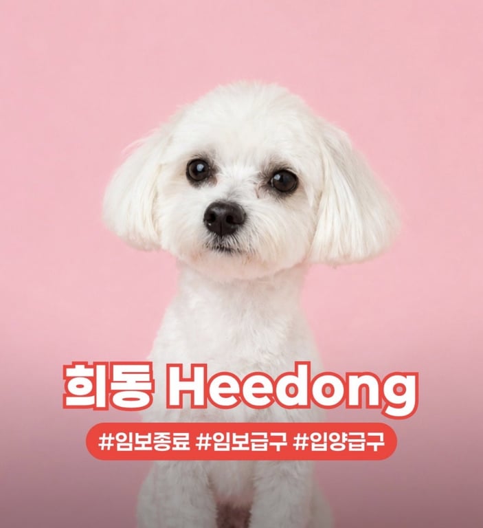HEEMONG Image