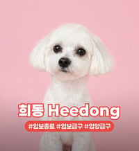 HEEMONG - Photo 1