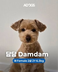 DAMDAM - Photo 1