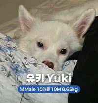 YUKI - Photo 1