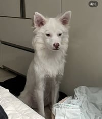 YUKI - Photo 3