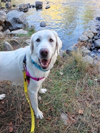 MAXIE - Photo 1