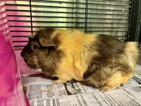 MOCHA - Photo 1