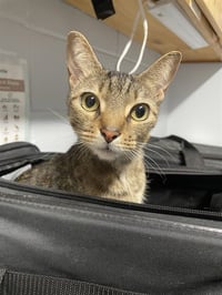 ZUZU - Photo 1
