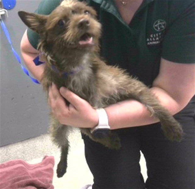 DESTINY Image