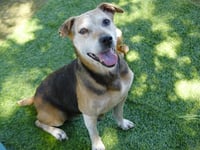 SIENNA - Photo 1