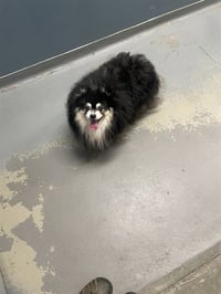 DOC - Photo 1
