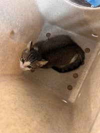 POGO - Photo 1
