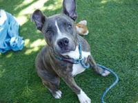 TITO - Photo 1